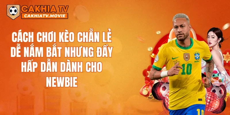 Cách chơi kèo chẵn lẻ dễ nắm bắt nhưng đầy hấp dẫn dành cho newbie
