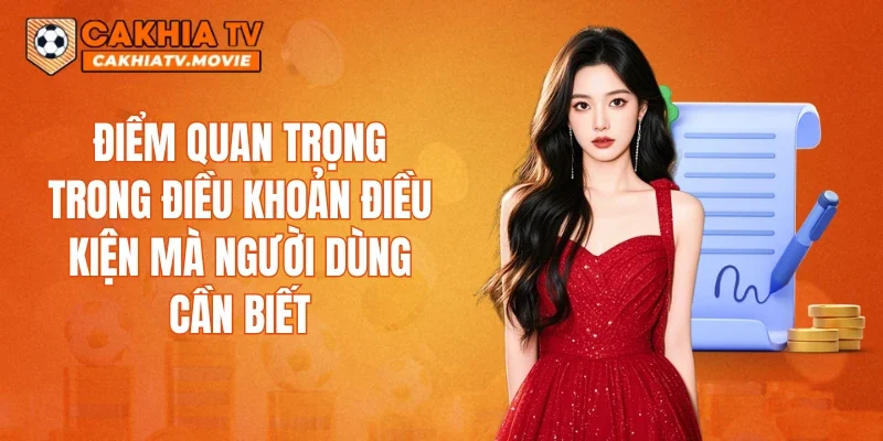 Điểm quan trọng trong điều khoản điều kiện mà người dùng cần biết