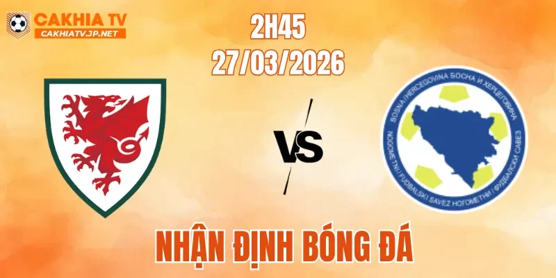 Wales Vs Bosnia & Herzegovina